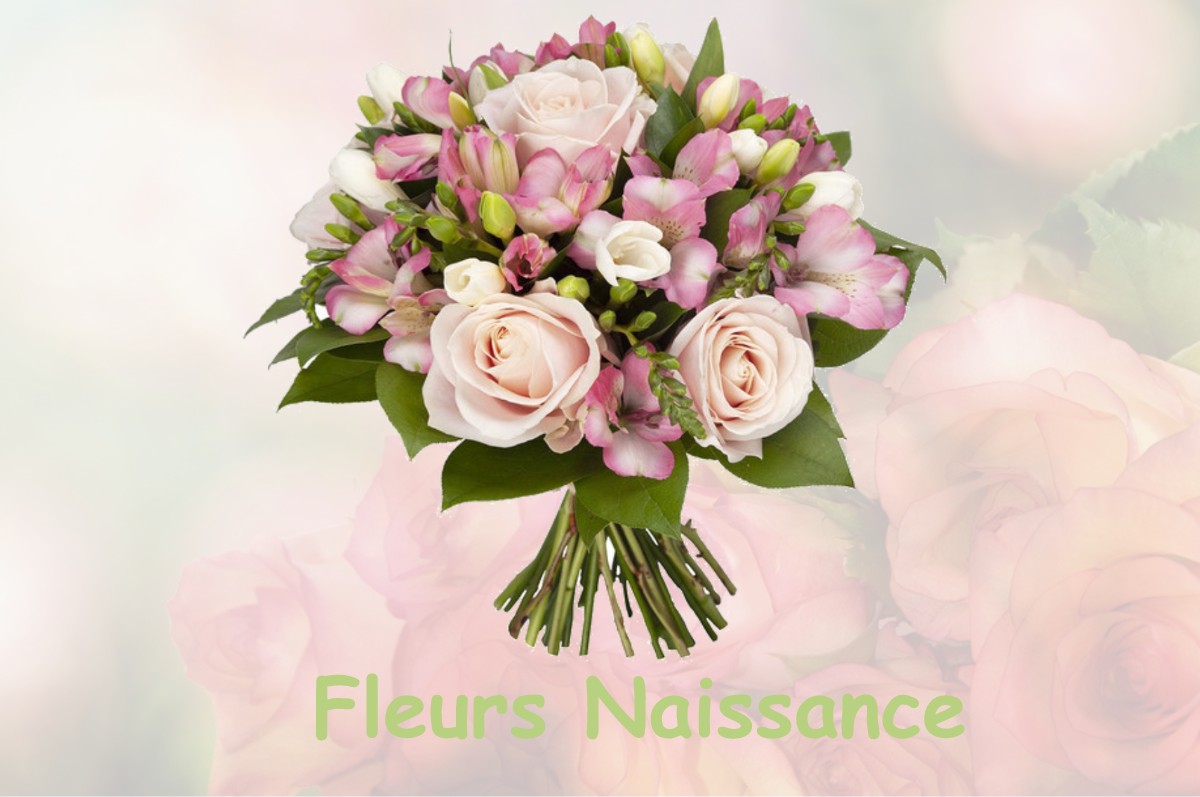 fleurs naissance GIRECOURT-SUR-DURBION